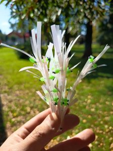 Modelo físico para replicar la geometría de las algas reales.